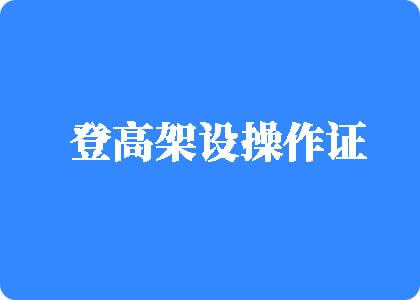 骚逼网站免费观看登高架设操作证